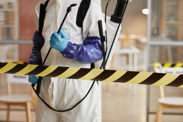 Professional Trauma Scene Cleanup technician working in Albany, NY